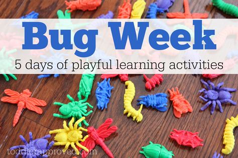 Bug Activities, Learning Activities For Kids, Insects Preschool, Bugs Preschool, Insect Activities, Beach Themed Crafts, Insect Crafts, Lesson Plans For Toddlers, Playful Learning