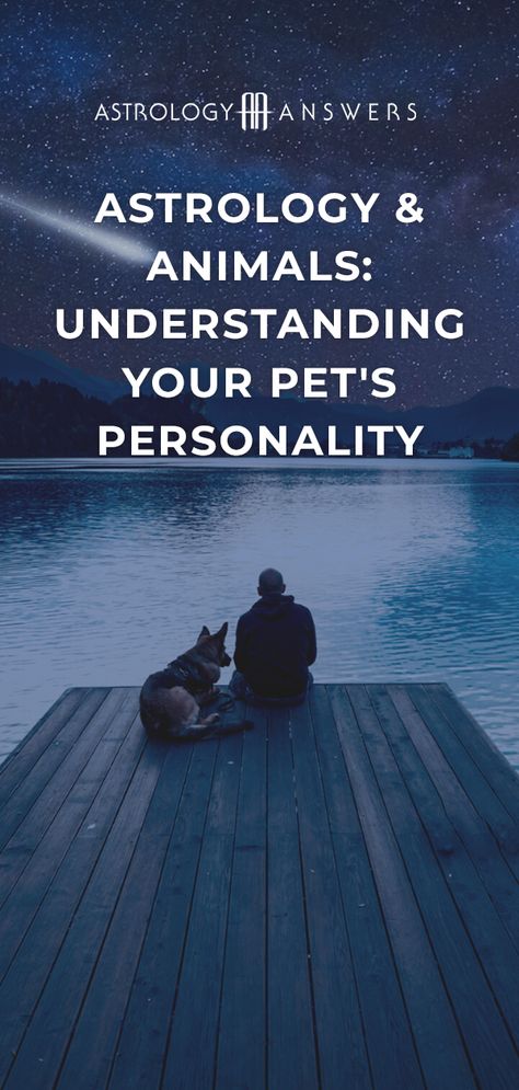 Dog Astrology, Dogs Personality, Cat Astrology, Dog Zodiac, Pet Psychic, Relationship Compatibility, Dog Personality, Astrology And Horoscopes, Gemini Sign