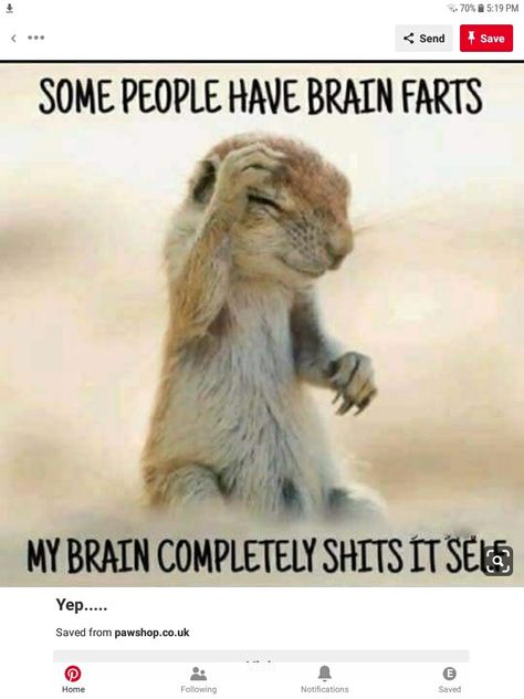 Chronic Illness Humor, Illness Humor, A Meme, Funny Cartoon Quotes, Cartoon Quotes, Sarcastic Quotes Funny, Twisted Humor, Funny Animal Memes, My Brain