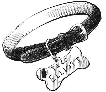 Drawing Of Dog, Puppy Collars, Dog Drawing, Dog Collar, I Hope, Puppies, Personalized Items, Collar, Drawings