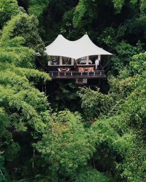 ↠ 	Λ L E X on Instagram: “Introducing Four Seasons Tented Camp: An exclusive jungle oasis on a bend of the Ruak River right in the heart of the Golden Triangle 🐘🍃…” Jungle Tent, Jungle Oasis, Four Season Tent, Tented Camp, Imaginary World, Safari Tent, Golden Triangle, Business Decor, River House