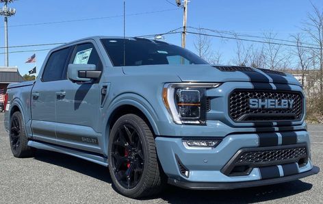 Shelby Super Snake F150, Honda Ridgeline Custom, Shelby Truck, Shelby F150, Shelby Super Snake, Future Aesthetic, Vision 2024, Super Snake, Customised Trucks