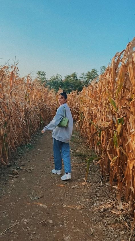 Fall Outfits Aesthetic Pictures, Corn Maze Instagram Pictures, Fall Corn Maze Aesthetic, Cute Corn Maze Outfits, Haunted Corn Maze Outfit, Fall Festival Pictures, Fall Farm Pictures, What To Wear To A Corn Maze, Individual Photoshoot Ideas Fall