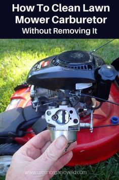 Lawn Mower Maintenance, Lawn Repair, Lawn Mower Repair, Lawn Mower Storage, Technical Knowledge, Handyman Projects, Push Mower, Lawn Care Tips, Lawn Tools