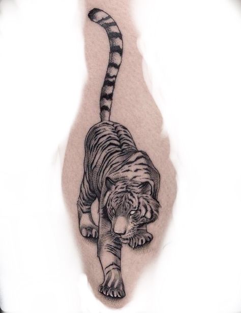 Full Tiger Tattoo, Tattoos Tiger Women, Large Cat Tattoo, Tiger Tattoo Men, Tiger Arm Tattoo, Fine Line Tiger Tattoo, Tiger Tattoo Ideas, Jaguar Tattoo, Father Tattoos