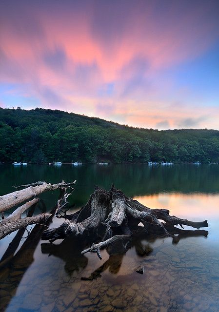 deep creek lake, maryland | Rajesh Bhattacharjee | Flickr Deep Creek Lake Maryland, Western Maryland, Deep Creek Lake, Hiking Pictures, Hometown Pride, Body Of Water, Travel Humor, Vacation Pictures, Travel Images