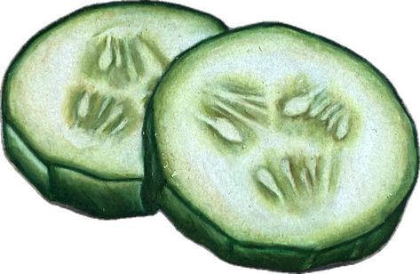 Cucumber Slices, Brush Markers, Cucumber, Markers, Sketch Book, Collage, Drawings, Pins