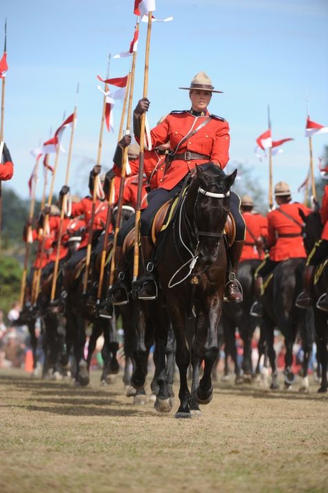 Beautiful image taken during an RCMP Musical Ride performance. The Musical Ride was first performed in 1887 and now it is one of the best-known Canadian symbols worldwide. Canada Culture, Canadian Symbols, Canadian Mountie, Canadian Mounted Police, Canadian Style, Canadian Things, Mounted Police, Canadian Culture, I Am Canadian