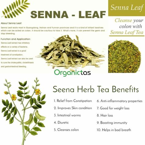 Herbs For Constipation, Senna Tea, Benefits Of Vitamin A, Senna Leaf, Classy Art, Ayurvedic Healing, Healing Plants, Herbal Healing, Herb Tea