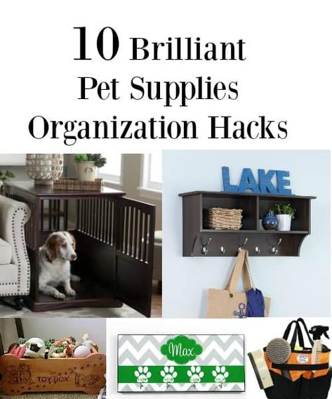 Dog Organization Ideas, Pet Organization Ideas, Dog Bedroom Ideas, Dog Supplies Organization, Ikea Dog, Diy Pet Ideas, Organization Small Space, Zen Ideas, Pet Supplies Organization