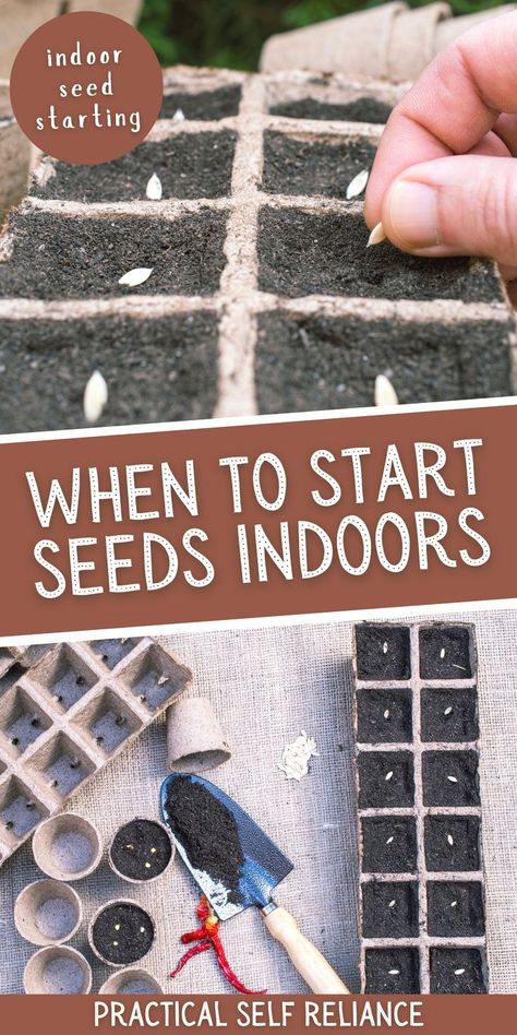 When to Start Seeds Indoors: Growing Vegetables - If you're looking to start your own garden but are unsure when to start planting and sprouting your seeds indoors, with the right tools, you can be sure that your spring garden will be thriving in no time. Here you'll find advice on when to start your seeds indoors, as well as detailed guidance on which vegetables are best suited for indoor seed starting, including broccoli, Brussels sprouts, peppers, and tomatoes. When To Start Seeds Indoors, Growing Vegetables From Seeds, When To Start Seeds, When To Plant Seeds, Indoor Seed Starting, Start Seeds Indoors, When To Plant Vegetables, Squash Seeds, Starting Seeds Indoors