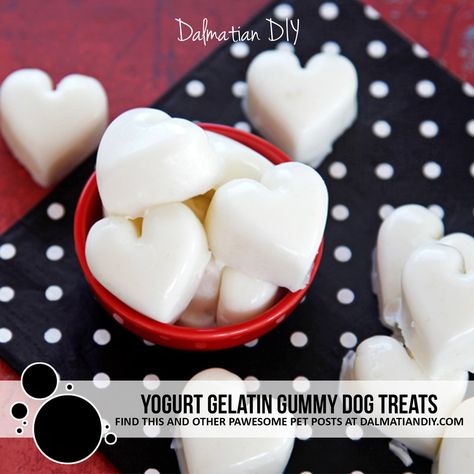 Easy Dog Treat Recipes, Pet Diy, Gummies Recipe, Easy Dog Treats, Dog Treats Homemade Recipes, Diy Dog Treats, Low Fat Yogurt, Healthy Heart, Homemade Yogurt