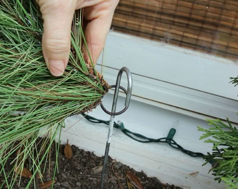 Christmas Window Boxes, Winter Window Boxes, Outside Christmas Decorations, Window Box Flowers, Christmas Planters, Winter Window, Front Porch Christmas Decor Ideas, Porch Christmas Decor Ideas, Porch Christmas Decor