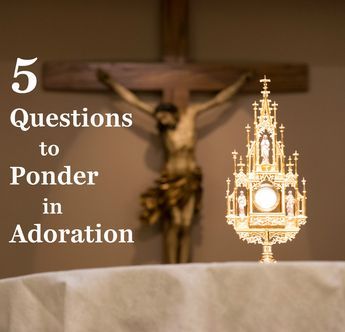 Adoration Catholic, Holy Hour, Questions To Ponder, Catholic Beliefs, Eucharistic Adoration, The Sacrifice, Faith Formation, Religious Education, Catholic Quotes