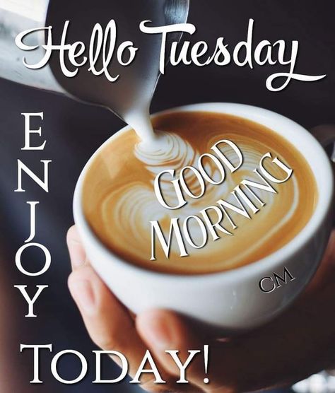 Tuesday Blessings Mornings Coffee, Tuesday Coffee Good Morning, Happy Tuesday Morning Coffee, Hello Tuesday Mornings, Good Morning Tuesday Coffee, Good Morning Tuesday Funny, Happy Tuesday Coffee, Tuesday Morning Coffee, Coffee Tuesday