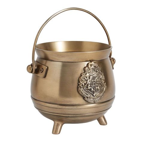 Harry Potter™ Cauldron Planter | Pottery Barn Teen Harry Potter Interior Design, Harry Potter Interior, Harry Potter Desk, Cauldron Planter, Hogwarts Decor, Planter Pottery, Harry Potter Room Decor, Harry Potter Cosplay, My Little Pony Twilight