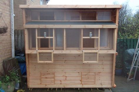 Pigeon Lofts - Sheds In Loft Diy, Racing Pigeon Lofts, Pigeon Loft Design, Homing Pigeons, Pigeon Loft, Racing Pigeons, Dog Kennels, Potting Sheds, Rabbit Hutches