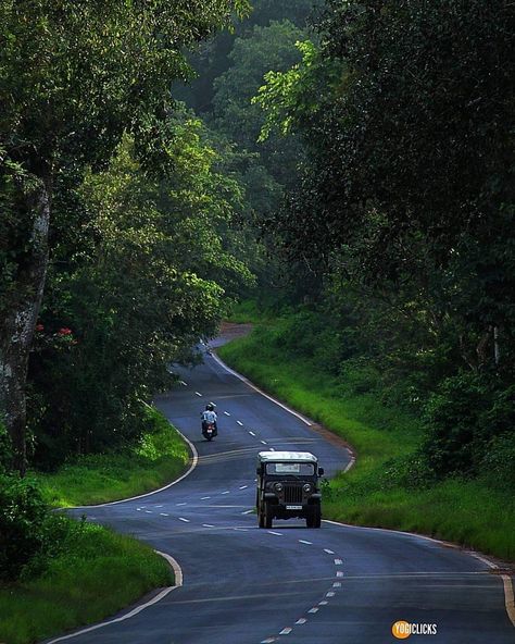 Ooty India Photography, Map Photography, Indian Forest, India Holidays, Tours And Travels, India Travel Places, Amazing India, Beautiful Roads, India Photography