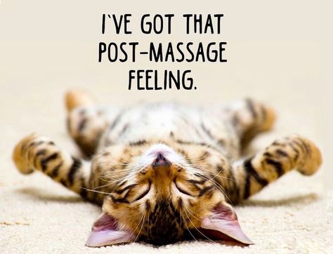 I've got that post-massage feeling. Funny Massage Quotes, Massage Therapy Quotes, Massage Marketing, Massage Pictures, Shiatsu Massage Acupressure, Massage Quotes, Massage Therapy Business, Kind Of, Shiatsu Massage