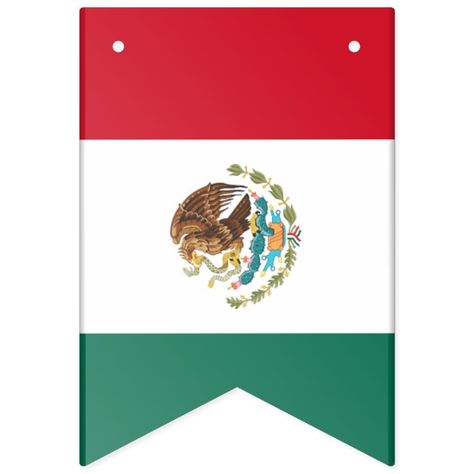 Mexican American Flag, Wedding Tableware, Mexican Flags, Party Bunting, American Flags, Tableware Design, Mexican Wedding, Wedding Vector, Bunting Banner