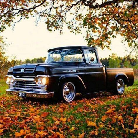 Low Trucks, Jeep Pickup Truck, Old Ford Trucks, Built Ford Tough, Classic Ford Trucks, Pick Up Trucks, Old Pickup Trucks, Old Pickup, Jeep Pickup