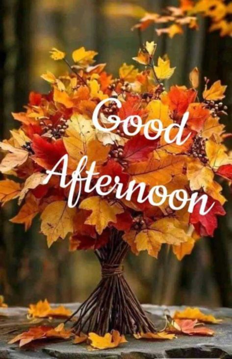 Happy Afternoon Quotes, Good Afternoon Images Cute, Good Afternoon Images Hd, Gud Afternoon, Goodnight Quotes For Friends, Good Afternoon Images, Afternoon Images, Autumn Afternoon, Good Afternoon Quotes