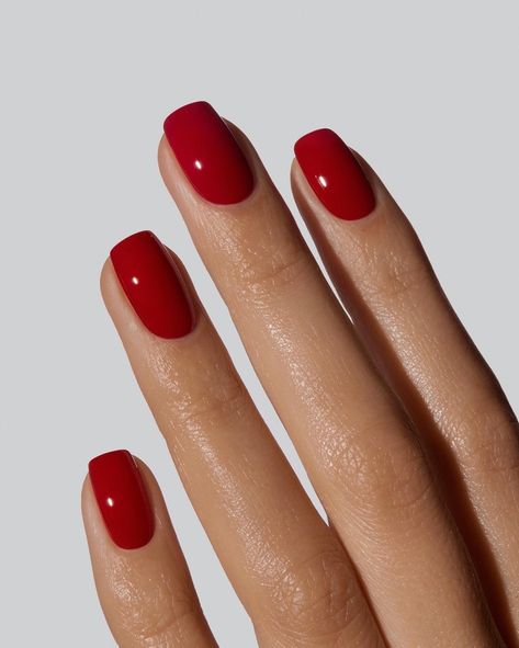 Glossy and bursting with flavour, this colour works on everyone. A ripe cherry red with a hint of pink. Shade is MORELLO. 2025 February Nails, Red Shades Nails, Squoval Red Nails, Claret Nails, Nails Ideas 2025, Shades Of Red Nails, Red Color Nails, Glossy Red Nails, Solid Nail Color Ideas