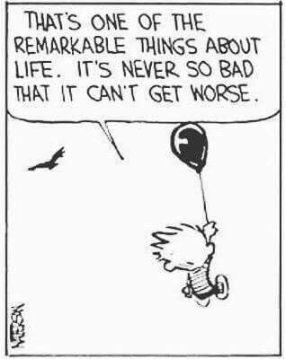 That's one of the remarkable things about life. It's never so bad that it can't get worse. Calvin Und Hobbes, Calvin And Hobbes Quotes, Comics Strips, Calvin And Hobbes Comics, Deeper Life, Funny Comic Strips, Bd Comics, Calvin And Hobbes, Fun Comics