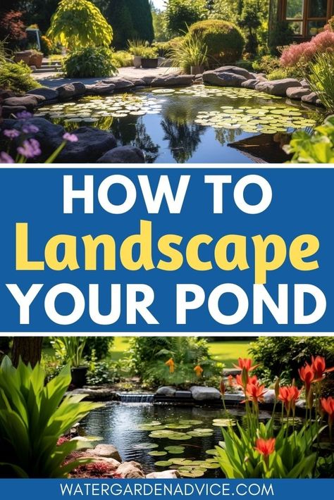 Create a beautiful backyard oasis with these inspiring pond landscaping ideas. Whether you're dreaming of a Japanese-inspired koi pond or a naturalistic wildlife pond, these ideas will help you bring your vision to life. Dive into the world of pond landscaping and let your imagination flow with these captivating pond plants. Patio Pond Ideas, Stunning Landscaping, Pond Landscaping Ideas, Build A Pond, Ponds Ideas, Small Backyard Ponds, Diy Ponds Backyard, How To Landscape, Patio Pond