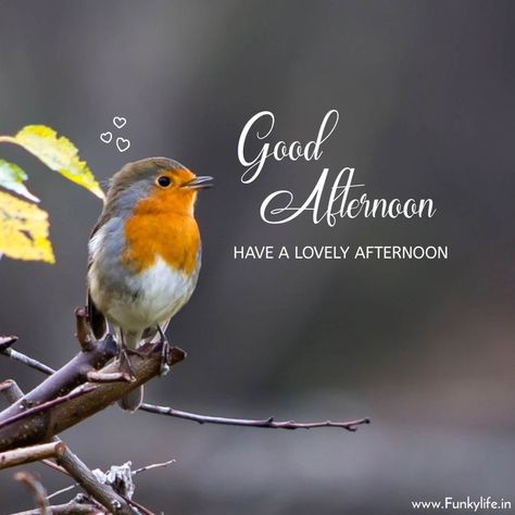 Good Afternoon Images Hd, Afternoon Messages, Good Afternoon Images, Afternoon Images, Jesus Love Images, Good Evening Messages, Evening Pictures, Good Afternoon Quotes, Afternoon Quotes