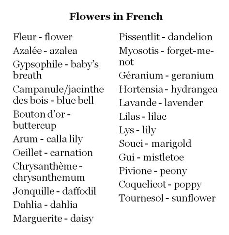 Flowers in French French Flowers Name, French Cute Nicknames, Coquette French Words, French Username Ideas Instagram, Flowers Username Ideas, Cute Words In French, French Nicknames Aesthetic, Nicknames In French, French Cute Words