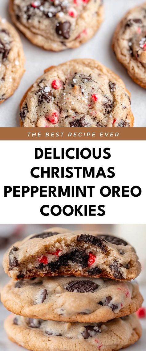 Image for Delicious Christmas Peppermint Oreo Cookies Peppermint Crunch Cookies, Soft Christmas Cookies, Cookies Filling, Xmas Cookies Recipes, Peppermint Crunch, Cookie Recipes Holiday, Crunch Cookies, Christmas Cookie Recipes Holiday, Christmas Baking Cookies