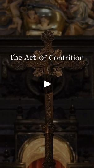 12K views · 12K reactions | If you’re ever unable to get to confession in a timely matter, stop and pray a fervent act of ￼ contrition. Our Lord has so much mercy. In extreme￼ instances he may even, possibly, forgive a mortal sin with a fervent and contrite ￼act of contrition. 

#Catholic #CatholicPrayer #Mercy #Forgiveness #Confession #God‘sMercy #Contrition #SorrowForSin #Prayers #PrayerLife | Catholic Calling Stop And Pray, Act Of Contrition, Daily Prayers, Our Lord, Daily Prayer, I Pray, Acting, Matter, Jesus