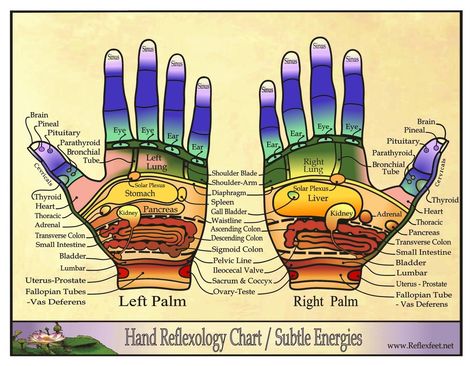 Reflexology Charts - Northern Nevada Reflexology Hand Reflexology Chart, Reflexology Hand, Hand Chart, Ear Reflexology, Sigmoid Colon, Reflexology Foot Chart, Hand Reflexology, Reflexology Chart, Reflexology Massage