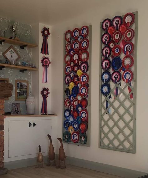 How To Display Horse Show Ribbons, Rosette Ribbon Display, Equestrian Ribbon Display, Dog Ribbon Display Ideas, Rosette Display Ideas, Ribbon Display Ideas, Horse Ribbons Display Ideas, Rosette Display, Horse Ribbon Display