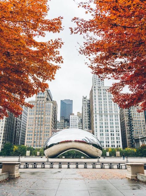 Chicago Cloud Gate, Millenium Park Chicago, Big Jet Plane, Wish U Were Here, Chicago Fall, Park Architecture, Urban Street Photography, Millenium Park, Chicago Pictures