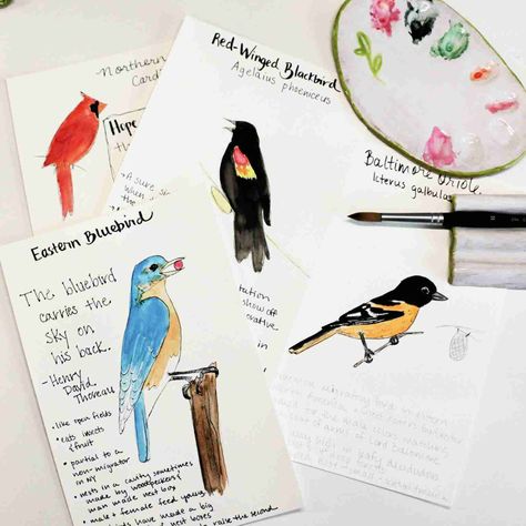 Birds Unit Study, Bird Unit Study Free Printable, Birdwatching Journal, Homeschool Nature Journal, Bird Watching Journal, Foundation Sets, Birding Journal, Botanical Sketchbook, Types Of Journals