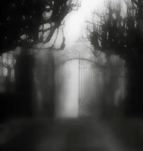 Gothic Scenery, Drain Aesthetic, Creepy Houses, Watch The World Burn, Dark Grunge, Dark Nature Aesthetic, Dark Paradise, Gothic Aesthetic, Dark Photography