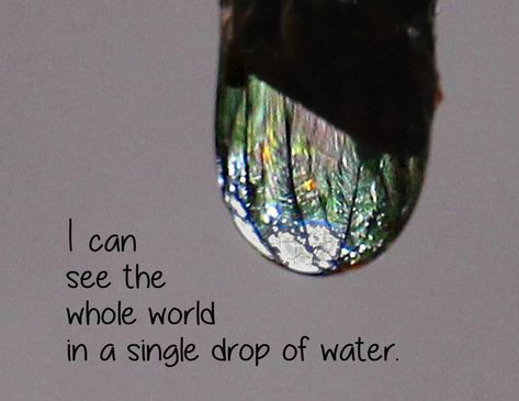 In a Single Drop of Water Water Drop Quotes, Drop Of Water, French Quotes, Unique Photography, First Photograph, Sunset Quotes, Nature Quotes, Water Drop, Post Cards