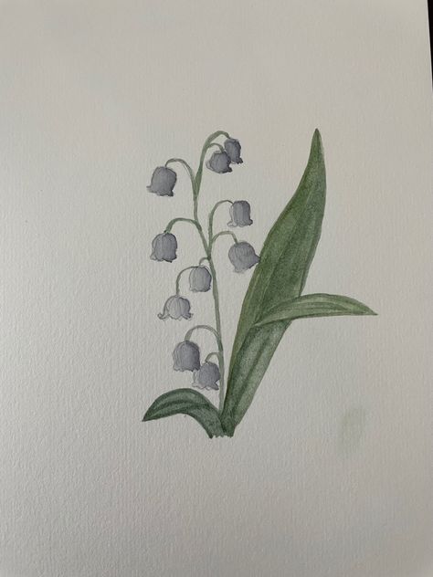 Lilies Of The Valley Painting, How To Draw Lily Of The Valley Step By Step, Lily Of The Valley Flower Drawing, Lily Of The Valley Drawing Step By Step, Lilly Of The Valley Drawing Art, Watercolor Lily Of The Valley, Lily Of The Valley Watercolor, Lily Of The Valley Painting, Lily Of The Valley Drawing