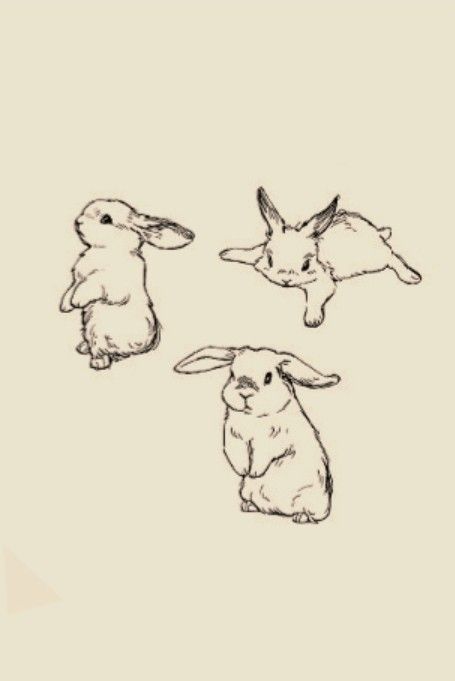 Two Animal Tattoos, Moon And Rabbit Tattoo, March Hare Tattoo, Fluffy Bunny Tattoo, Rabbit Heart Tattoo, Vintage Bunny Tattoo, Three Bunnies Tattoo, Bunny Drawing Tattoo, Bunny Fine Line Tattoo