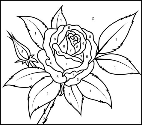 Rose - Printable Color by Number Page Adult Color By Number, Rose Coloring, Colour By Number, Rose Coloring Pages, Color By Number Printable, Stained Glass Patterns Free, Printable Adult Coloring Pages, Valentine Coloring, Adult Coloring Book Pages