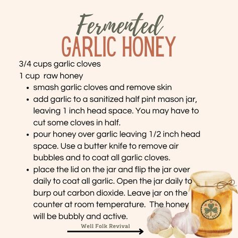 Benefits of Garlic and Honey  Garlic has a compound called as allicin known to  detoxifies the blood, removes excess cholesterol and regulate triglycerides. Allicin is destroyed in the heating of garlic. Thus, consuming garlic raw offers the most medicinal properties of the food. Garlic And Honey Benefits, Fermented Garlic Honey, Fermented Garlic, Garlic And Honey, Benefits Of Garlic, Honey Uses, Garlic Honey, Garlic Health Benefits, Elderberry Gummies