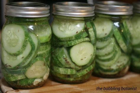 Crispy Dill Pickle Recipe, Making Dill Pickles, Making Pickles, Canned Pickles, Quick Pickles, Dill Pickle Slices, Dill Pickle Recipe, How To Make Pickles, Canning Process