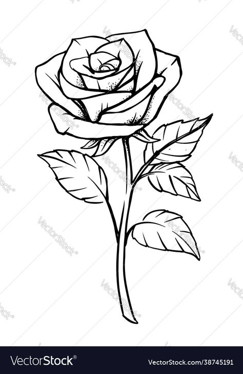 Rose Drawing Simple, Rose Vector, Rose Outline, Rose Drawing Tattoo, Rose Stencil, Rose Sketch, Tattoo Stencil Outline, Tattoo Design Book, Rose Drawing