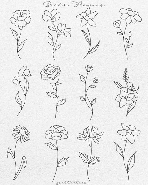 September Birth Flower Line Drawing, Simple Flower Tattoo Stencil, December Flower Tattoo, Playlist Journal, Aster Flower Tattoo, Small Geometric Tattoo, Flower Tattoo Stencils, December Flower, Simple Flower Tattoo