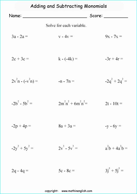 Multiply Polynomials, Polynomials Activity, Photosynthesis Worksheet, Adding And Subtracting Polynomials, Multiplying Polynomials, All About Me Printable, Angles Worksheet, All About Me Worksheet, Rational Expressions