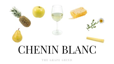 Chenin Blanc Wine Chenin Blanc, Squash Casserole, Cheese Tasting, Wine Desserts, Pinot Grigio, Wine Cheese, White Meat, Food Pairings, Riesling