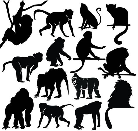 Into the Wilderness: Jungle Clipart Animals Illustration Assortment Monkey Silhouette, Monkey Png, Monkey Svg, Monkey Clipart, Jungle Clipart, Clip Art Animals, Animals Monkey, Creative Clips Clipart, Creative Clips