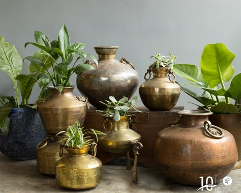 These plants and their quaint planters create an inviting ambience interspersed with ethnic elegance. The brass pots are essentially traditional decor accents that double up as planters.  Explore more of these at our store today! Open Terrace Ideas, Indian Vintage Home Decor, Brass Decor Indian, Indian Room, Vintage Brass Decor, Indian Room Decor, India Home Decor, Rustic Restaurant, Brass Pot